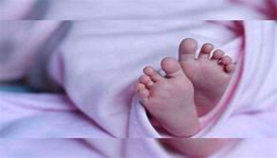  Haryana News: हरियाणा में 1 महीने के नवजात बच्चे की मौत, बस स्टैंड के पास कपड़े में लिपटा मिला शव 